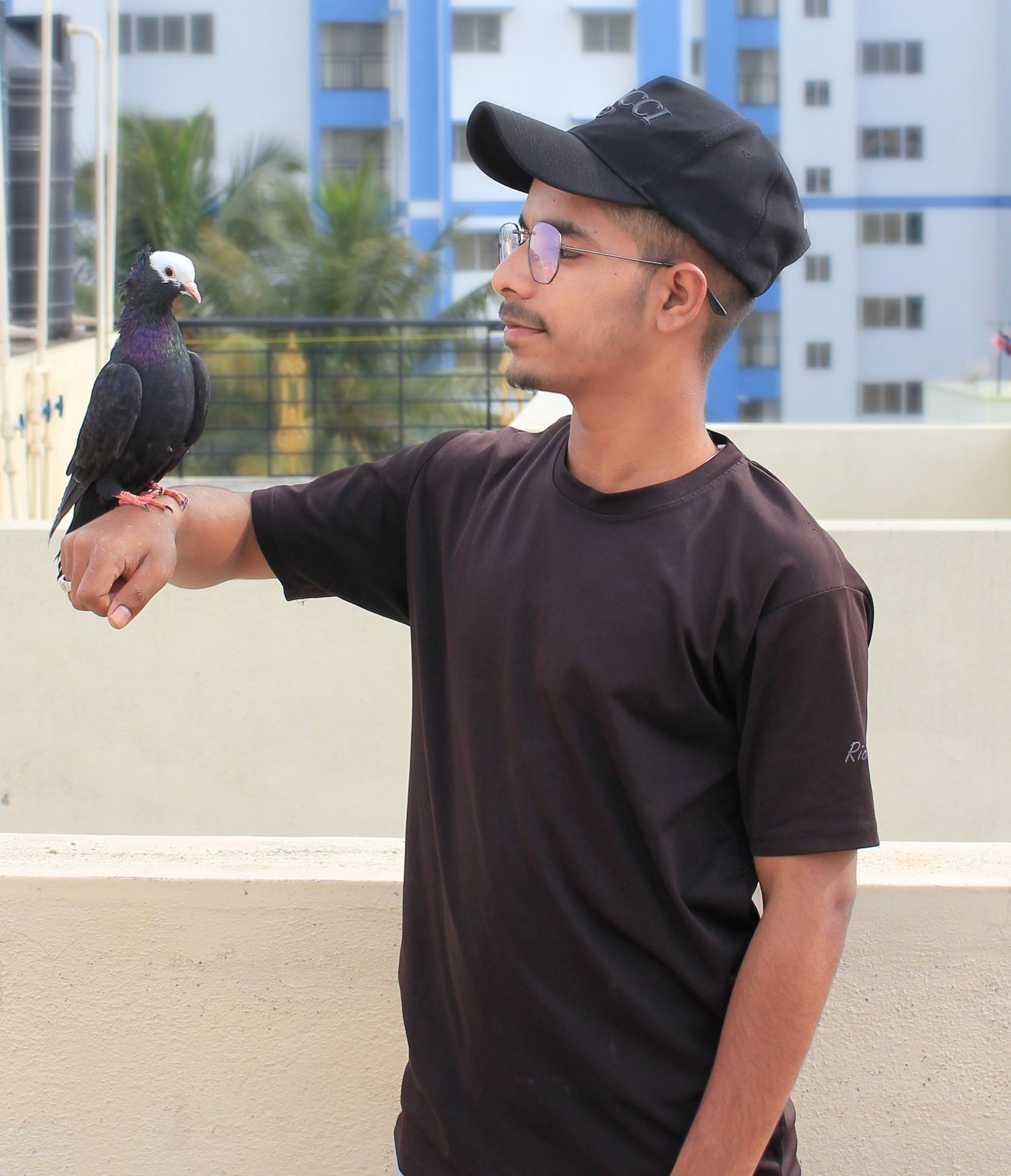 Custom Aviary Design