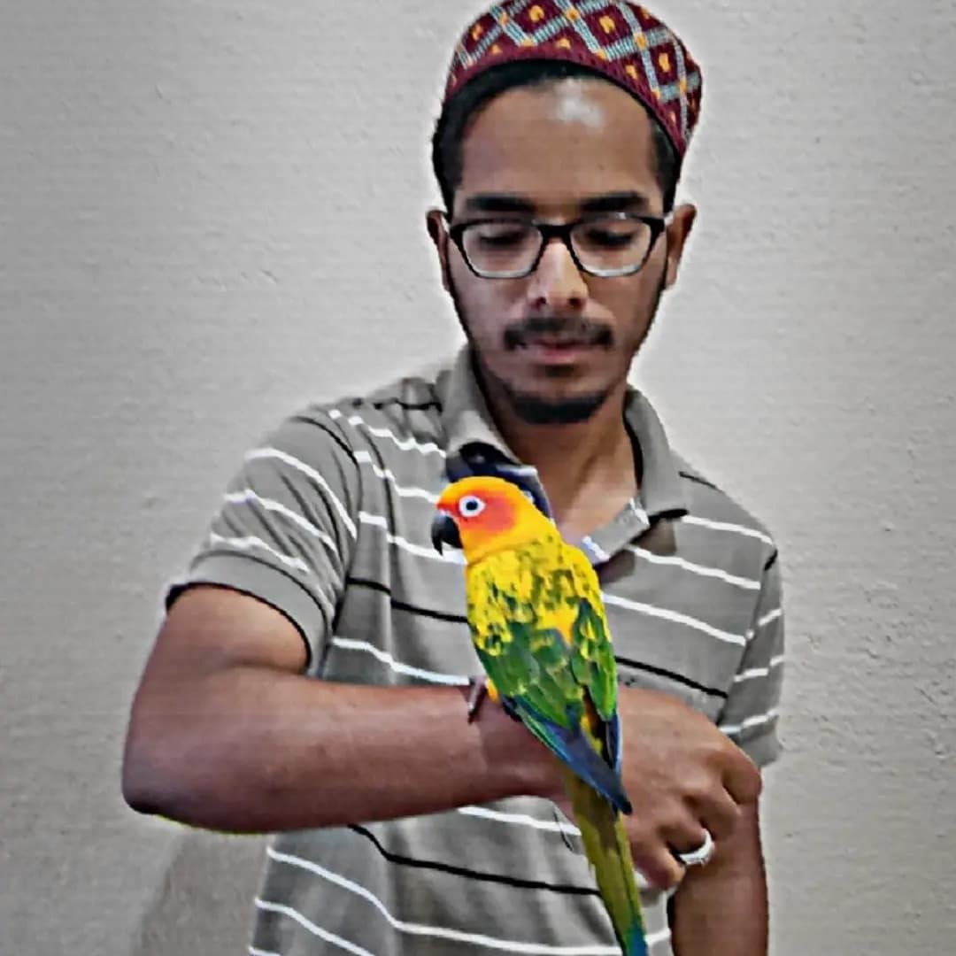 Jaffer birds